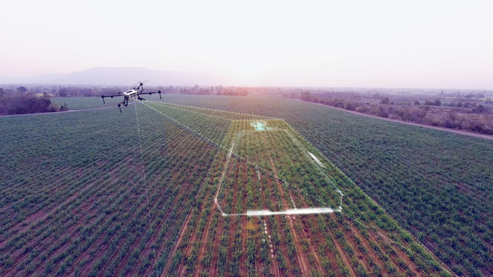 Agriculture
